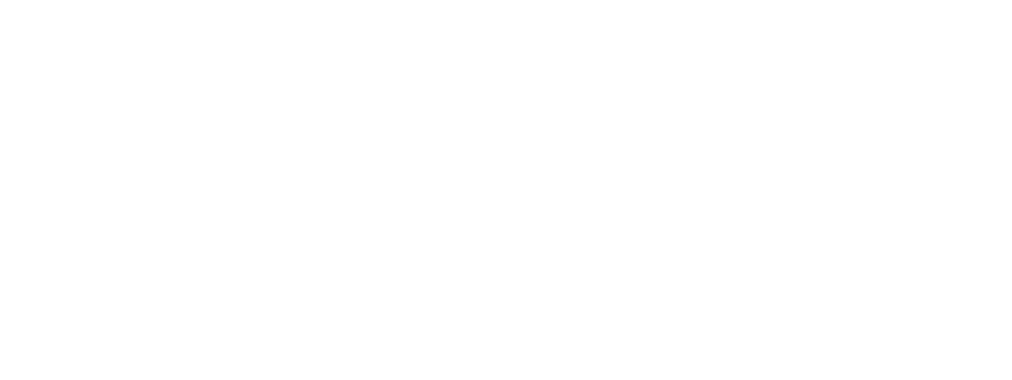 Partini